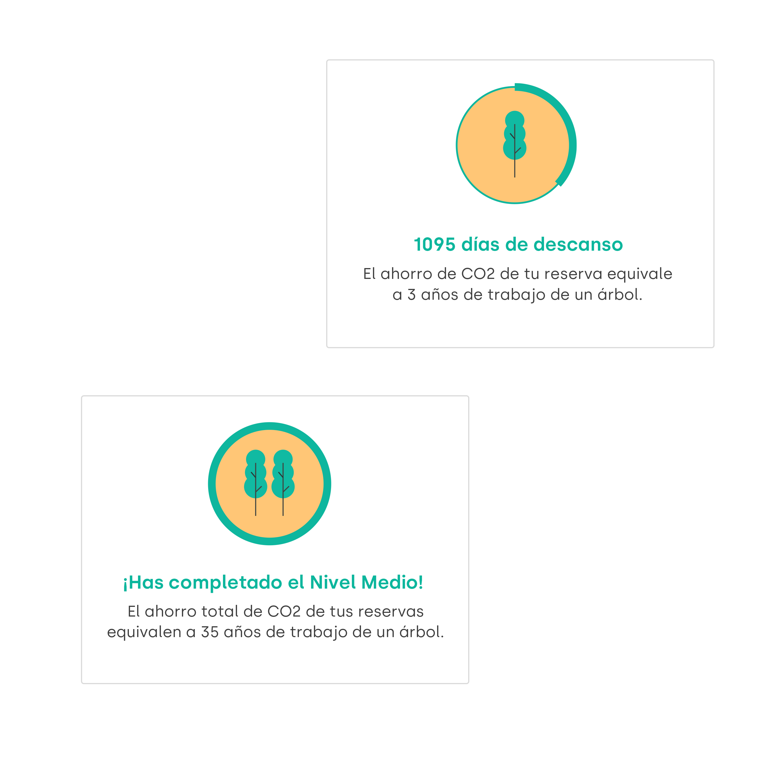 img-general-proyecto