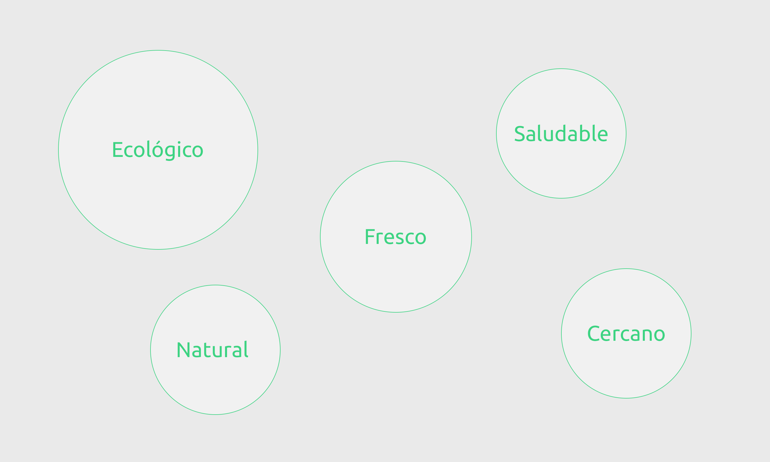 img-general-proyecto